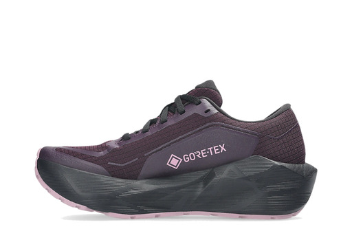 ASICS NOVABLAST 6 GORE-TEX 'Dark Aubergine/Black' – authenticated on KLEKT