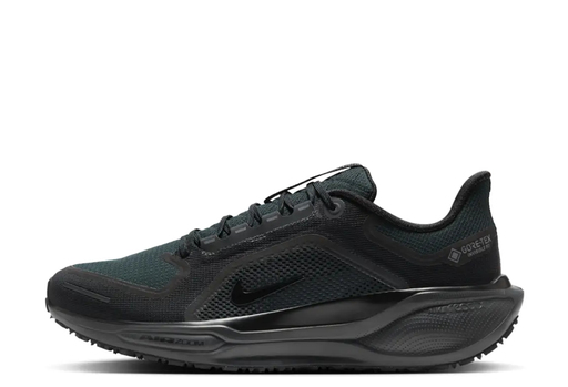 Nike Pegasus 41 Gore-Tex 'Black Anthracite' (2025)