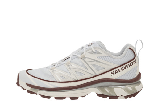 Salomon XT-6 Expanse 'Ancient' (2026) – authenticated on KLEKT