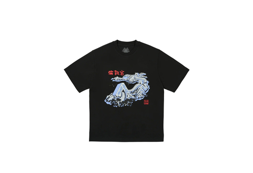 Palace Great Wall Of Tri-Na T-Shirt 'Black' (FW24) – authenticated on KLEKT