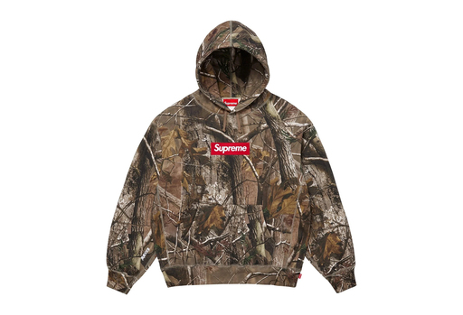Supreme Box Logo Hooded Sweatshirt 'Realtree AP Camo' (FW25) – authenticated on KLEKT