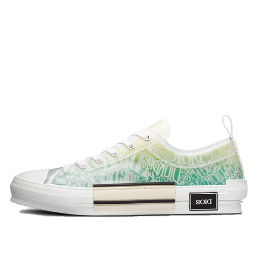 Dior x Shawn B23 'Yellow Green Canvas Low Top'