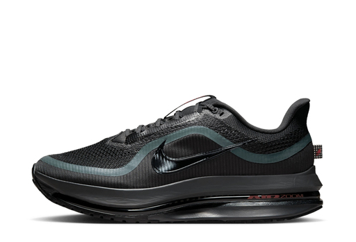 Nike Pegasus Premium 'Anthracite' (2025)