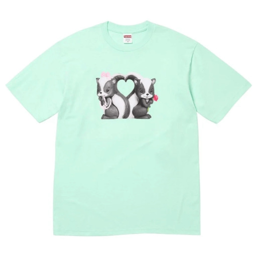 Supreme Skunk Tee 'Mint' (2026) – authenticated on KLEKT