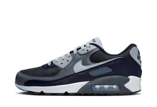 Nike Air Max 90 Gore-Tex Anthracite Pure Platinum (2022)