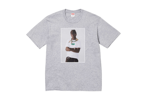Supreme Tyler The Creator Tee 'Grey' (FW24)