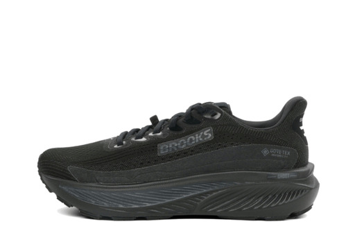 Brooks Ghost 17 GTX