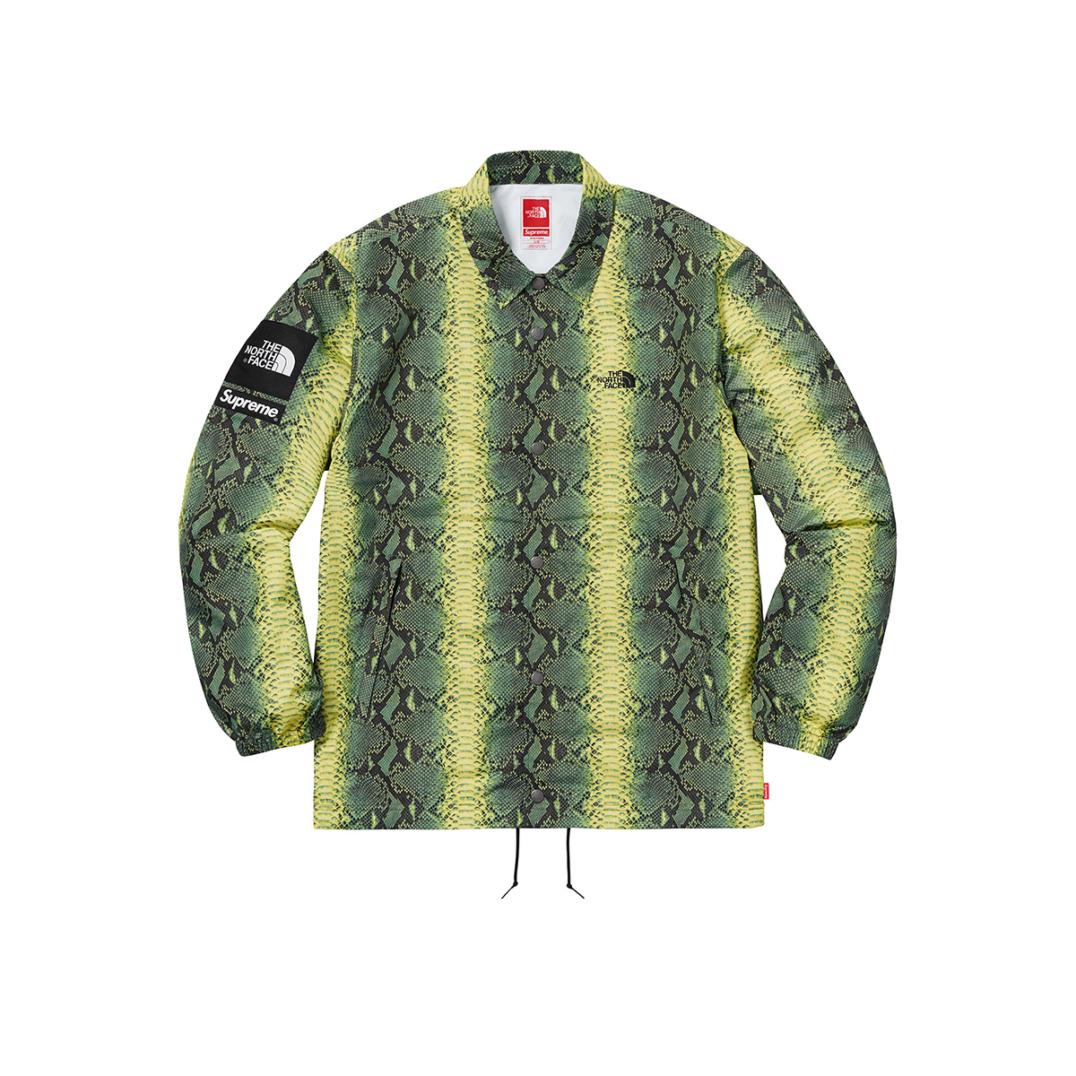 Supreme x The North Face Snakeskin Taped Seam Coach TNF Jacket Green (SS18) sneaker – authenticated on KLEKT